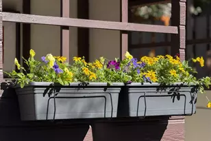 1950 Hopkins St, Berkeley, CA 94707 - Photo 34