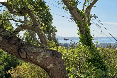 1698 La Loma Ave, Berkeley, CA 94709 - Photo 16