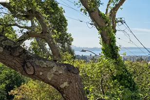 1698 La Loma Ave, Berkeley, CA 94709 - Photo 16