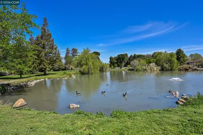 1954 6th St, Concord, CA 94519 - Photo 22