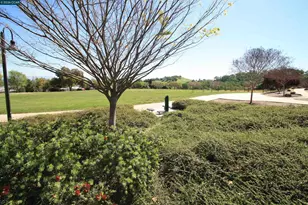 1509 Ashwood Dr, Martinez, CA 94553 - Photo 44