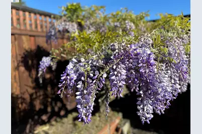 1368 Rose St, Berkeley, CA 94702 - Photo 20