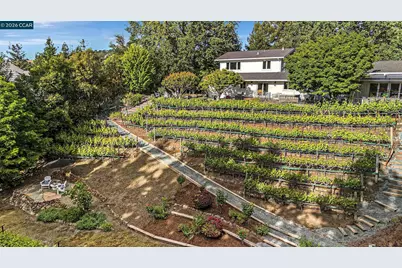 225 Pebble Ct, Alamo, CA 94507 - Photo 46