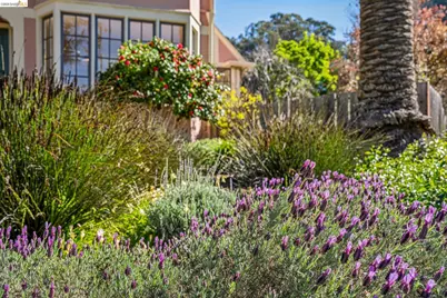 4201 Lakeshore Ave, Oakland, CA 94610 - Photo 58