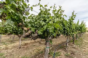 3001 Lusitana Dr, Livermore, CA 94550 - Photo 48