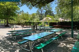 2733 Ptarmigan Dr, Walnut Creek, CA 94595 - Photo 30