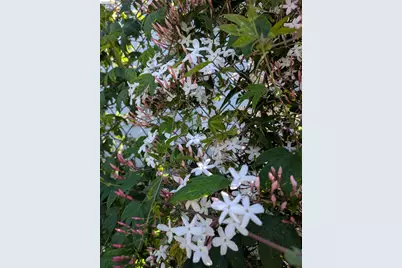 2161 48th Ave, Oakland, CA 94601 - Photo 42