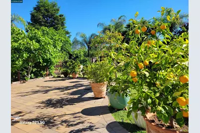 4151 Storey Lane, Concord, CA 94518 - Photo 34