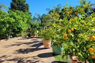 4151 Storey Ln, Concord, CA 94518 - Photo 34