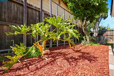 6860 Cunningham Way, Sacramento, CA 95828 - Photo 56