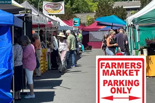 5413 Terra Granada Dr, Walnut Creek, CA 94595 - Photo 28