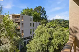 490 Civic Dr, Walnut Creek, CA 94596 - Photo 30