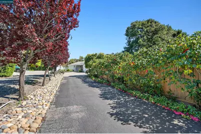 157 Fernwood Dr, Moraga, CA 94556 - Photo 44
