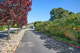 157 Fernwood Dr, Moraga, CA 94556 - Photo 44