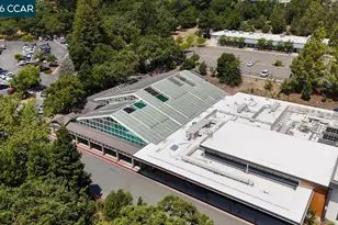 1217 Leisure Ln, Walnut Creek, CA 94595 - Photo 48