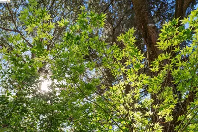 6600 Heather Ridge Way, Oakland, CA 94611 - Photo 56