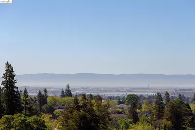 316 Pacific Ave, Piedmont, CA 94611 - Photo 36