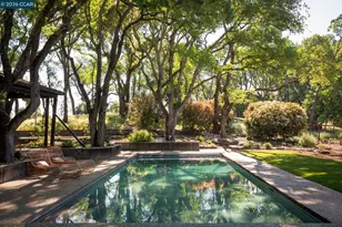 289 Castle Crest Rd, Alamo, CA 94507 - Photo 44