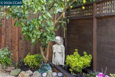 121 Bradford St, San Francisco, CA 94110 - Photo 38