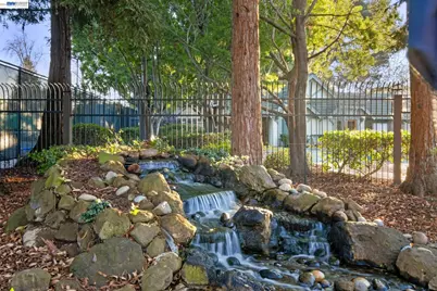 34380 Gadwall Cmn, Fremont, CA 94555 - Photo 6