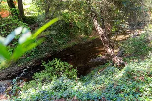 15765 Kings Creek Rd, Boulder Creek, CA 95006 - Photo 26