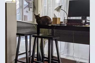 1007 41st St #513, Emeryville, CA 94608 - Photo 6