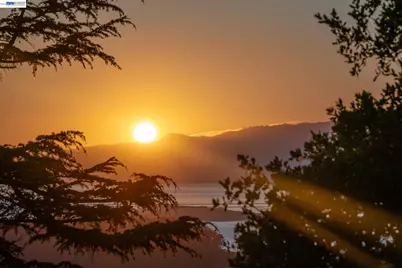 777 Cragmont Avenue, Berkeley, CA 94708 - Photo 40