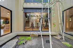 159 Golden Ridge Rd, Alamo, CA 94507 - Photo 46