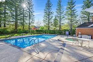 159 Golden Ridge Rd, Alamo, CA 94507 - Photo 6