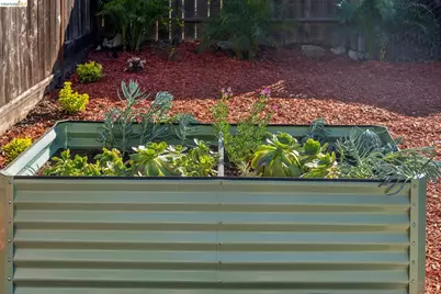 1339 Kains Ave, Berkeley, CA 94702 - Photo 36