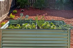 1339 Kains Ave, Berkeley, CA 94702 - Photo 36