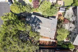 71 Norwood Ave, Kensington, CA 94707 - Photo 54