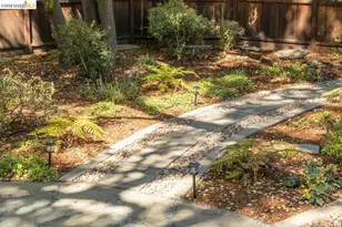 71 Norwood Ave, Kensington, CA 94707 - Photo 40