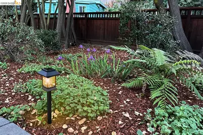 71 Norwood Ave, Kensington, CA 94707 - Photo 58
