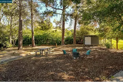 46 Tam O Shanter Rd, Alamo, CA 94507 - Photo 46