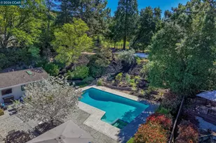 46 Tam O Shanter Rd, Alamo, CA 94507 - Photo 44