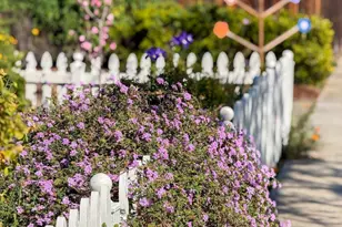 737 Dartshire Way, Sunnyvale, CA 94087 - Photo 4