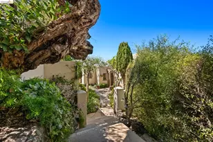 1004 Cragmont Ave, Berkeley, CA 94708 - Photo 2