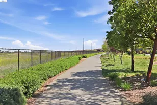 464 Coolcrest Dr, Oakley, CA 94561 - Photo 26