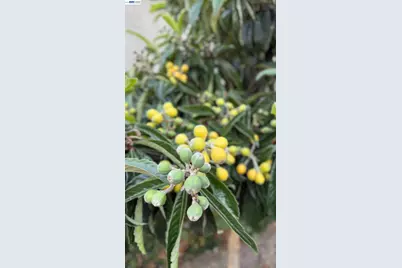 2295 Regatta Way, San Leandro, CA 94579 - Photo 38