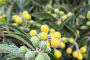 2295 Regatta Way, San Leandro, CA 94579 - Photo 38