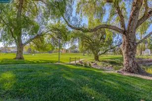 4423 Canoe Birch Ct, Concord, CA 94521 - Photo 50