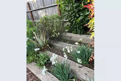 1672 San Vicente Ave, Napa, CA 94558 - Photo 16