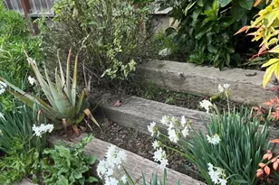 1672 San Vicente Ave, Napa, CA 94558 - Photo 16