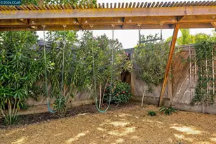 3754 Walnut Ave, Concord, CA 94519 - Photo 30