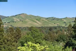 1000 Froyd Rd, Concord, CA 94521 - Photo 52