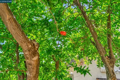 1174 Central Ave, Livermore, CA 94551 - Photo 36