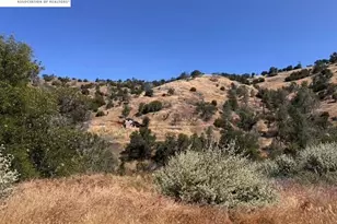 21810 Mines Rd, Livermore, CA 94550 - Photo 8