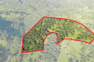 98 Oak Springs Dr, Napa, CA 94558 - Photo 50