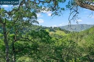 98 Oak Springs Dr, Napa, CA 94558 - Photo 14